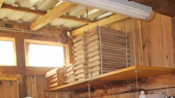 Jungimker Jakob Groh in seinem Bienenhaus mit der sogenannten "Stockkarte", in welche alle relevanten Daten eines jeden Bienenstocks eingetragen werden. Foto: Helmut Will