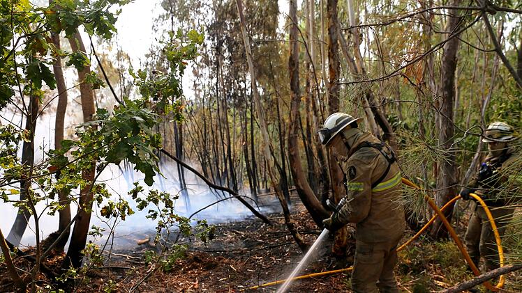 Waldbrände in Portugal