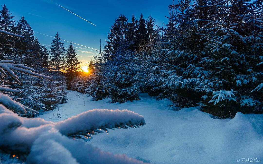 Die schönsten Winterfotos aus Kronach und Umgebung