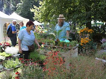 Die Besucher im Schlosspark ließen sich von Pflanzen, Handwerk und Kunst inspirieren. Fotos: Carmen Schwind