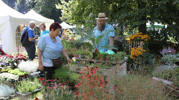 Die Besucher im Schlosspark ließen sich von Pflanzen, Handwerk und Kunst inspirieren. Fotos: Carmen Schwind