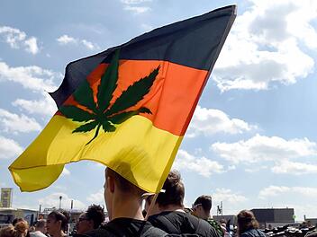 Während die einen für die Legalsierung von Hanf demonstrieren, werden die anderen wegen Betäubungsmittelmissbrauchs verurteilt. Ein 19-Jähriger musste sich wegen des Anbaus von Cannabis in Haßfurt vor dem Jugend-Schöffengericht verantworten. Foto: Archiv