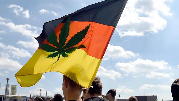 Während die einen für die Legalsierung von Hanf demonstrieren, werden die anderen wegen Betäubungsmittelmissbrauchs verurteilt. Ein 19-Jähriger musste sich wegen des Anbaus von Cannabis in Haßfurt vor dem Jugend-Schöffengericht verantworten. Foto: Archiv
