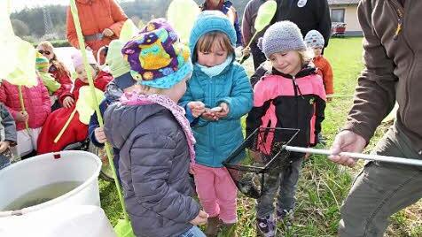 Die Kinder durften beim Umsetzen der Karpfen mithelfen.  Foto: Erlwein