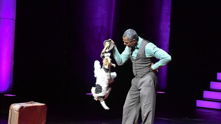 Fuchs-Gala 2018 zu "Bamberg zaubert" im E.T.A.-Hoffmann-Theater. Foto: Ronald Rinklef