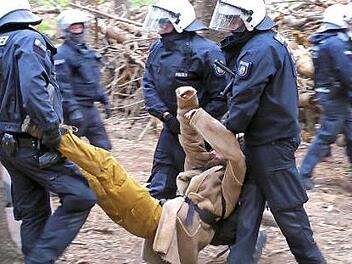 Der Dokumentarfilm "Trees of Protest" handelt vom erbitterten Kampf von Umweltaktivisten gegen den Braunkohletagebau Hambach. Foto: PR