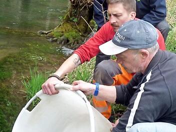Fischwirt Jürgen Kremer und Bauhofmitarbeiter Christopher Lang setzen Forellen ein.  Foto: T. Weichert