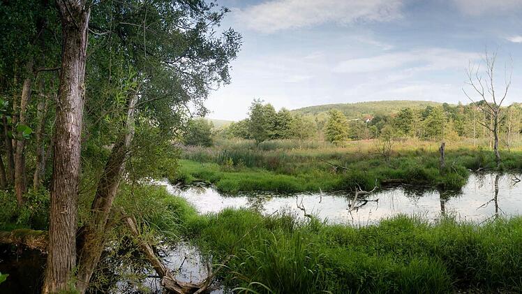 Biberpanorama. Foto: Ingo Queck