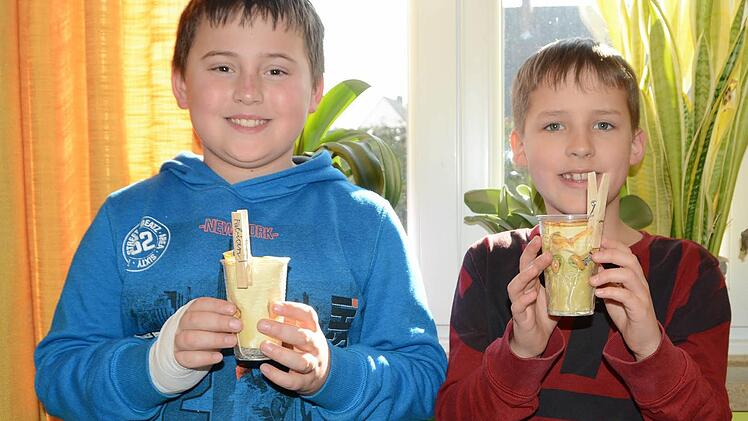 Fabian und Danel haben ihre Bohnenkeimlinge in transparenten Bechern vorgezogen. Auf der Fensterbank sollen sie weiter wachsen. Foto: Dagmar Besand