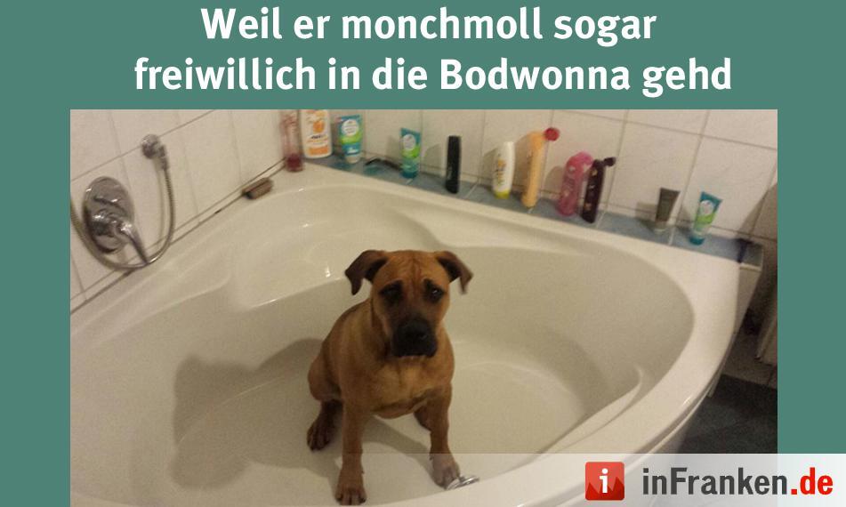 Foto: Janine Wohlleben