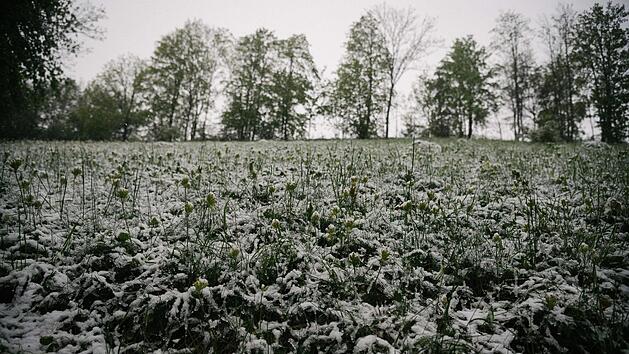 Schnee lag am Wochenende auf dem Staffelberg, aber auch das ist Niederschlag, der dringend gebraucht wird. Foto: Tobias Kindermann