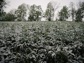 Schnee lag am Wochenende auf dem Staffelberg, aber auch das ist Niederschlag, der dringend gebraucht wird. Foto: Tobias Kindermann
