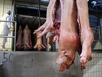 Ein Mitarbeiter des Bamberger Schlachthofes verlädt frisch geschlachtete und abgekühlte Schweinehälften für die Weiterverarbeitung.  Foto: Sebastian Schanz