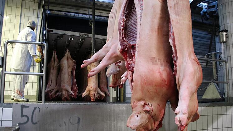 Ein Mitarbeiter des Bamberger Schlachthofes verlädt frisch geschlachtete und abgekühlte Schweinehälften für die Weiterverarbeitung.  Foto: Sebastian Schanz