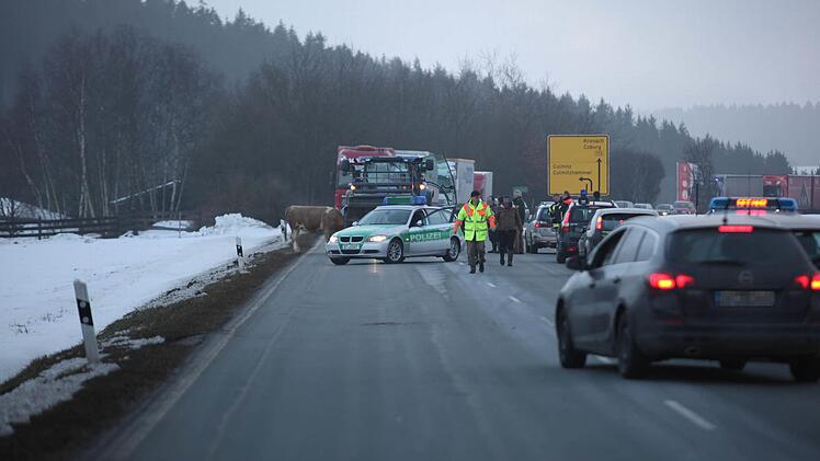 Foto: News5 / Fricke