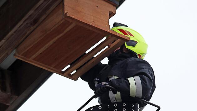 Wolfgang Wenzel bringt einen Nistkasten für die Turmfalken an.