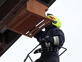 Wolfgang Wenzel bringt einen Nistkasten f&uuml;r die Turmfalken an.