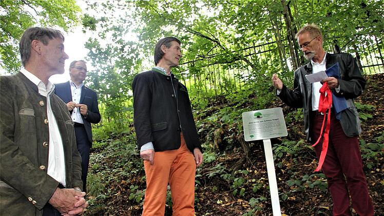 Nicht nur der Eigentümer der "1000-jährigen Eiche", Freiherr Hubertus von Künsberg (Dritter v. l.), ist stolz darauf, dass sein Baum einer von vier deutschlandweit ist, der den Titel "Nationalerbe-Baum" tragen darf. Mit im Bild: (v. l.) Der stellvertretende Landrat Gerhard Wunder, Bürgermeister Bernd Rebhan und der Leiter des Kuratoriums Nationalerbe-Bäume, Andreas Roloff. Foto: Veronika Schadeck