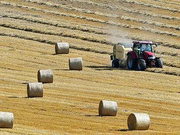 Symbolbild: Martin Schutt