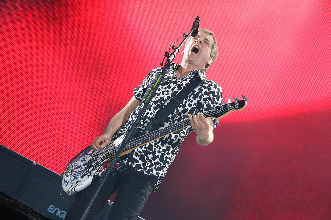 Die Toten Hosen bei Rock im Park 2017
