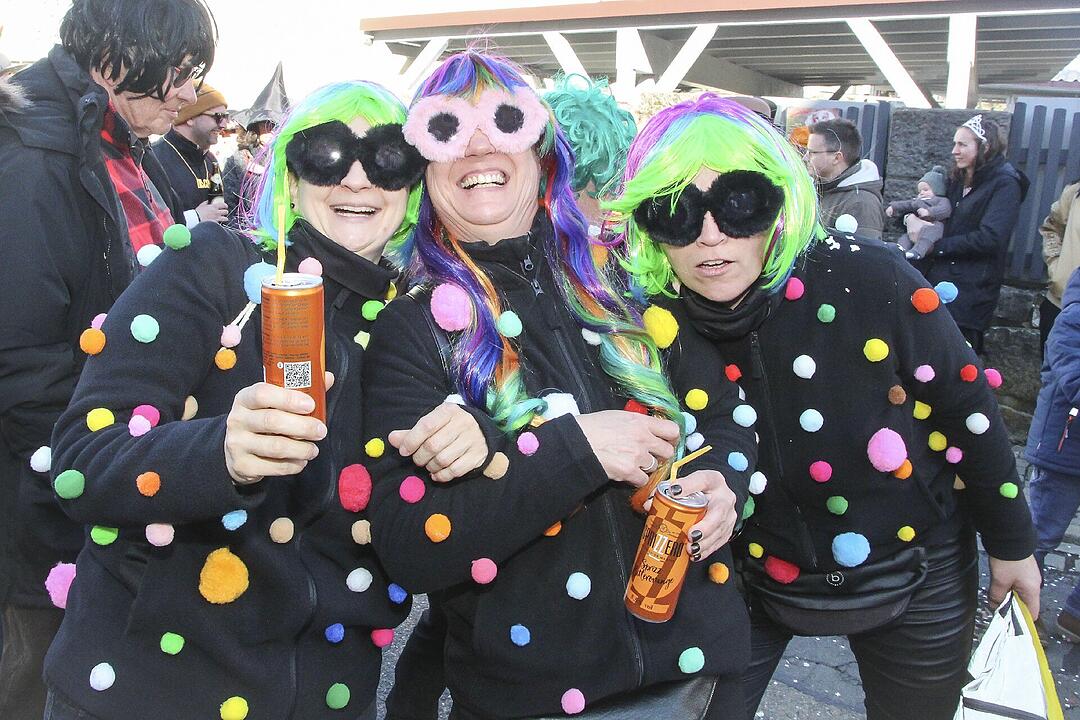 Fasching 2025 in Stadtsteinach!
