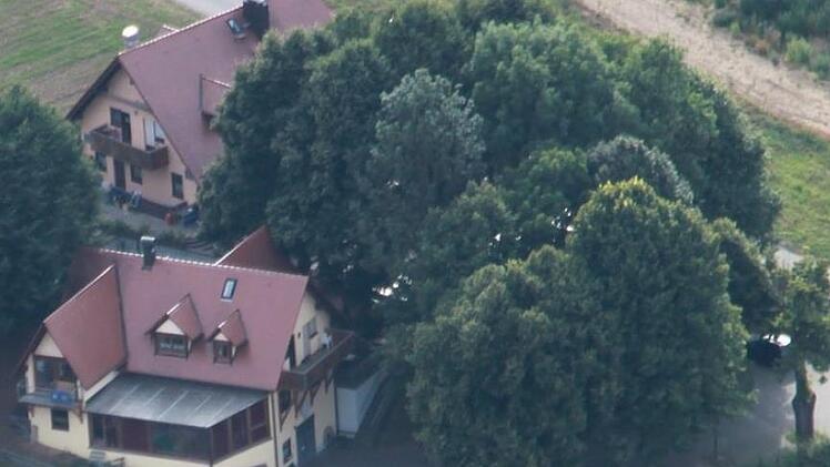 Im Schatten der großen Linden liegt der Biergarten. Foto: Matthias Einwag