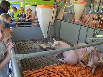 Lebende Schweine kommen selten in eine Schule. In Dörfles-Esbach machten sie jetzt mit ihrem "Schweinemobil" Station. Foto: Rainer Lutz