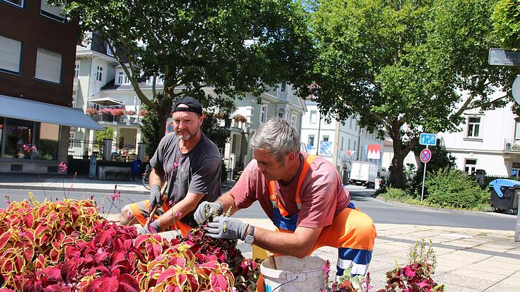 Bernhard Schroll (rechts) pflegt zusammen mit Georg Materzok ein Beet auf dem Theaterplatz. Foto: Ralf Ruppert