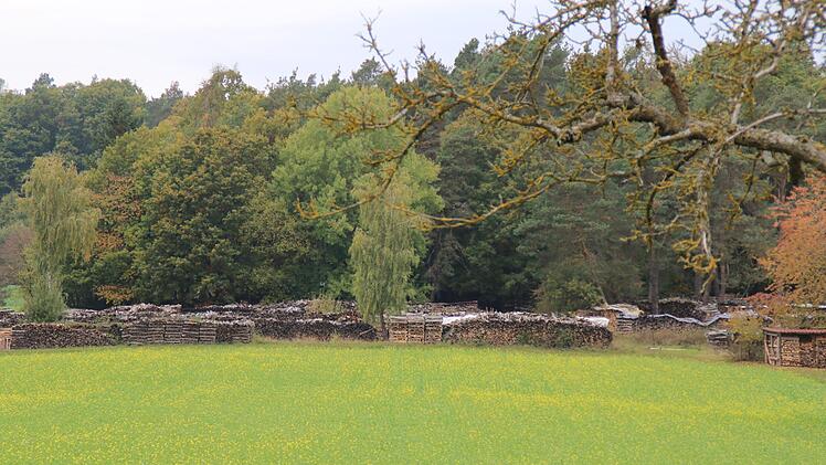 Der Holzplatz in Oberthulba.  Die Ortsbeauftragte von Oberthulba und 3. Bürgermeisterin, Margot Schottdorf, will einen Plan erstellen, Luftbilder lägen vor. Zur Zeit  wisse niemend genau, wem welch Parzelle gehöre. Hilmar Ruppert