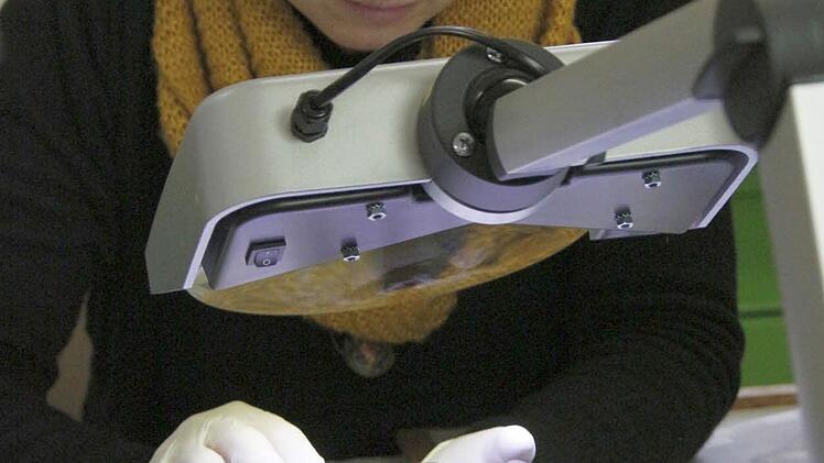 Foto: Josef Hofbauer