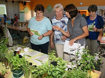 Genuss und Gesundheit verbinden Kräuter und Gewürze, denn sie können durch ihre Aromen beim Kochen viel Salz ersetzen und haben dazu viele gesundheitsfördernde Eigenschaften. Eine der Genuss-Inseln war daher den Gewürzen und Kräutern gewidmet. Foto: Sabine Weinbeer