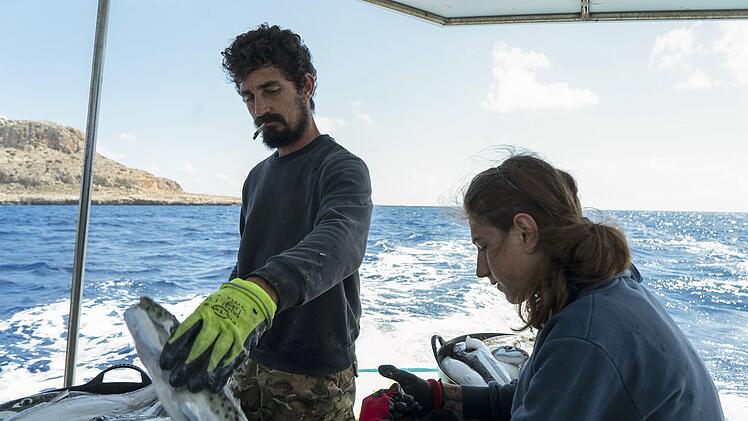 Marios Antoniou und sein Neffe sortieren vor der K&uuml;ste Zyperns einen Fang von Silberwangen-Kr&ouml;tenfischen aus, die sich im Mittelmeer ausbreiten und die einheimische Arten verdr&auml;ngen.