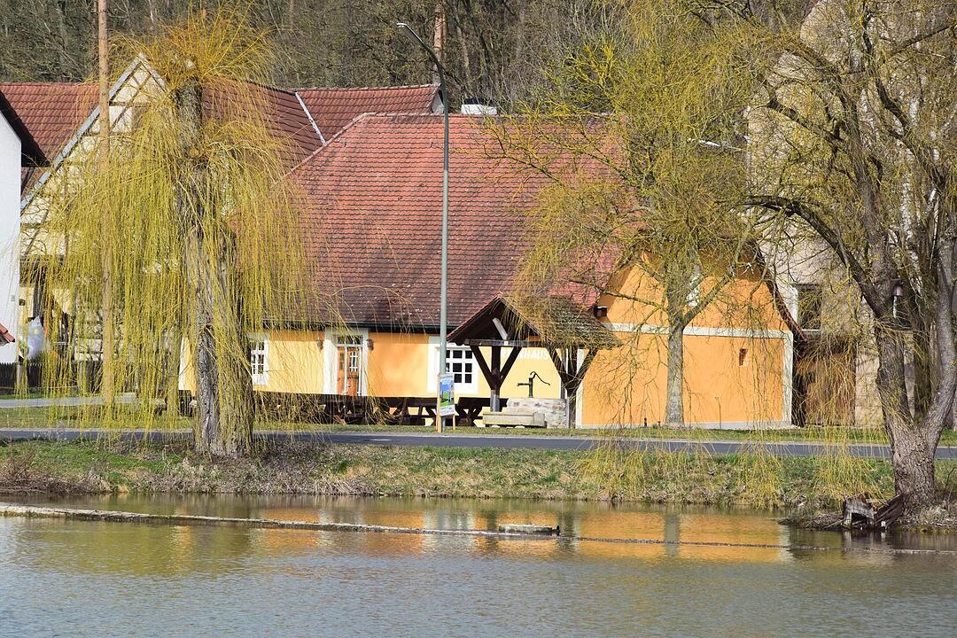Ailsbach (53)