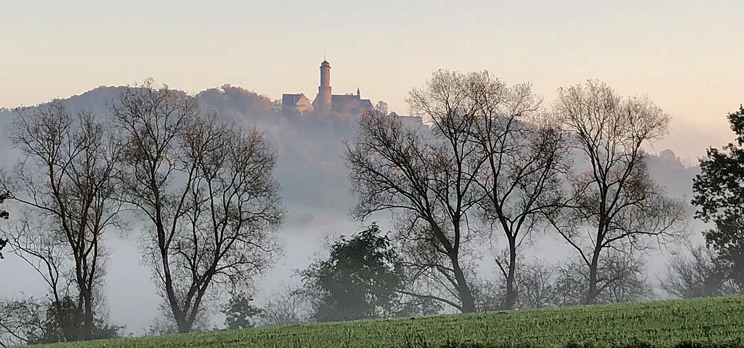 Die schönsten Fotos im Januar aus Bamberg und Umgebung