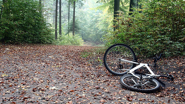 Fahrrad, Feldweg, Wald, Unfall, Sturz, Rad