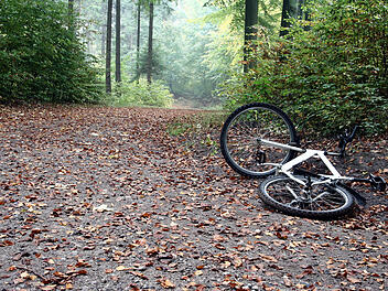 Fahrrad, Feldweg, Wald, Unfall, Sturz, Rad