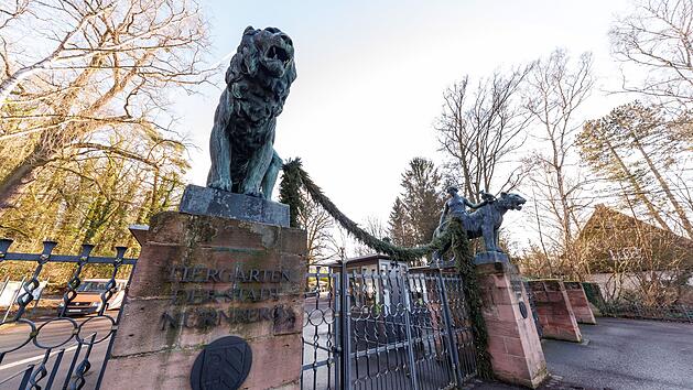 Tiergarten N&uuml;rnberg: Vermisster "Zoobewohner" nach rund f&uuml;nf Wochen wieder zur&uuml;ck