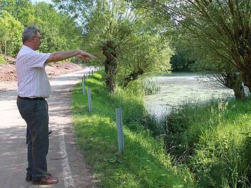 "Hier wird die Grabensituation verbessert", erläuterte Bürgermeister Helmut Dietz am Mühlsee vor Untermerzbach. Foto: Katharina Becht