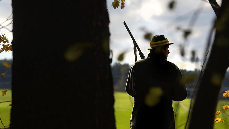 Unterfr&auml;nkische J&auml;ger kritisieren, dass mehr Rehe geschossen werden sollen. Einen h&ouml;heren Abschuss fordert hingegen der Bund Deutscher Forstleute.  Symbolfoto: Felix K&auml;stle, dpa