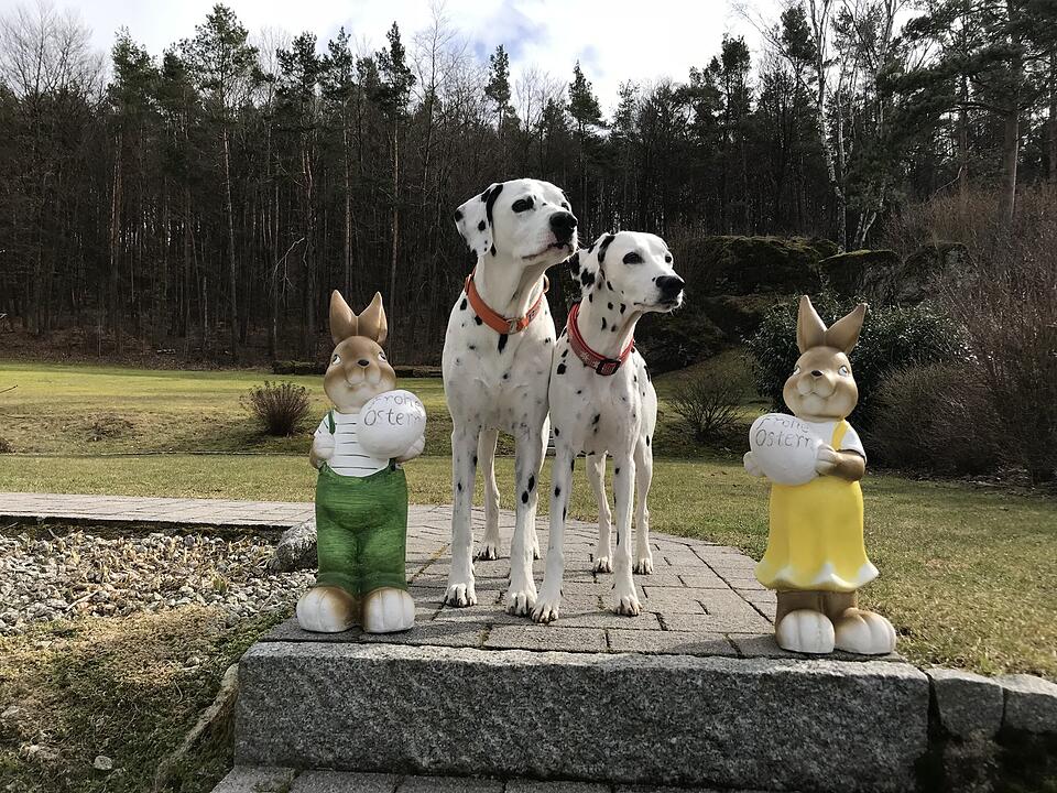 Die schönsten Frühlingsfotos aus Forchheim und Umgebung