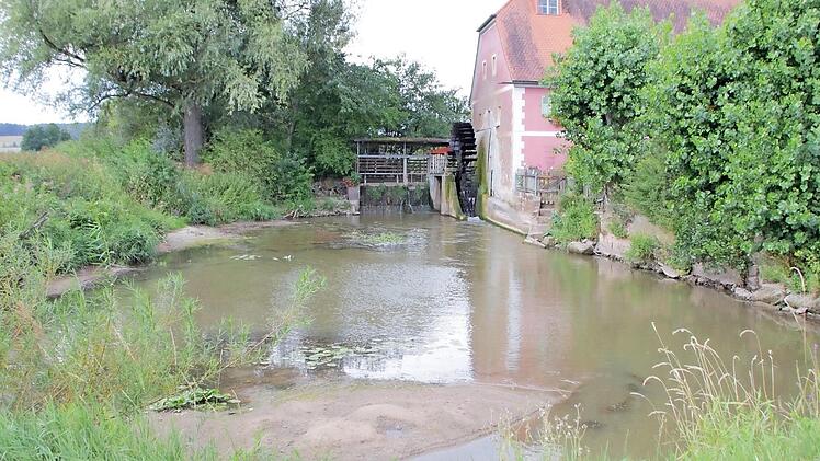 Der Mühlweiher verlandet immer mehr. Für Bertram Peschke ist es die Reiche Ebrach, fürs Verwaltungsgericht nur ein Triebwerkskanal.  Fotos: Andreas Dorsch