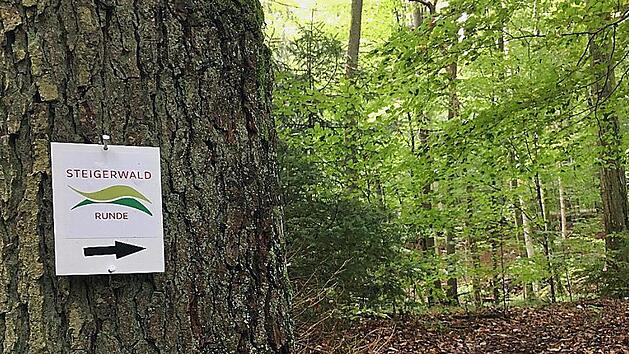 Markierungszeichen der Steigerwald-Runden