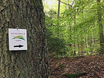Markierungszeichen der Steigerwald-Runden