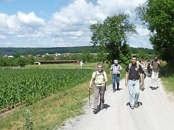 Zügig unterwegs sind die Teilnehmer beim Sportlichen Wandern der Rhönklub-Zweigvereine Hammelburg und Bad Kissingen. Foto: Josef Roider