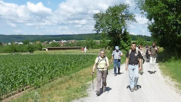 Zügig unterwegs sind die Teilnehmer beim Sportlichen Wandern der Rhönklub-Zweigvereine Hammelburg und Bad Kissingen. Foto: Josef Roider