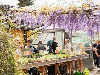 Tag der offenen G&auml;rtnereien in Bamberg 2026 - Das ist geboten