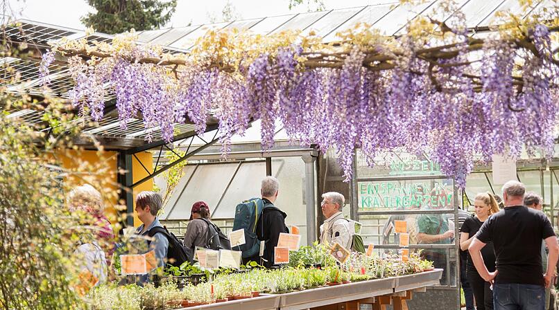Tag der offenen G&auml;rtnereien in Bamberg 2026 - Das ist geboten
