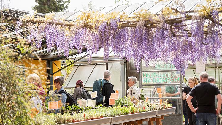 Tag der offenen G&auml;rtnereien in Bamberg 2026 - Das ist geboten