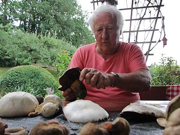 Der Höchstadter Biologe Hans Krautblatter erklärt, welche seltenen Pilzarten schmackhaft sind, und von welchen man lieber nicht naschen sollte. Foto: Franziska Rieger