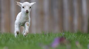 Wetter in Baden-W&uuml;rttemberg